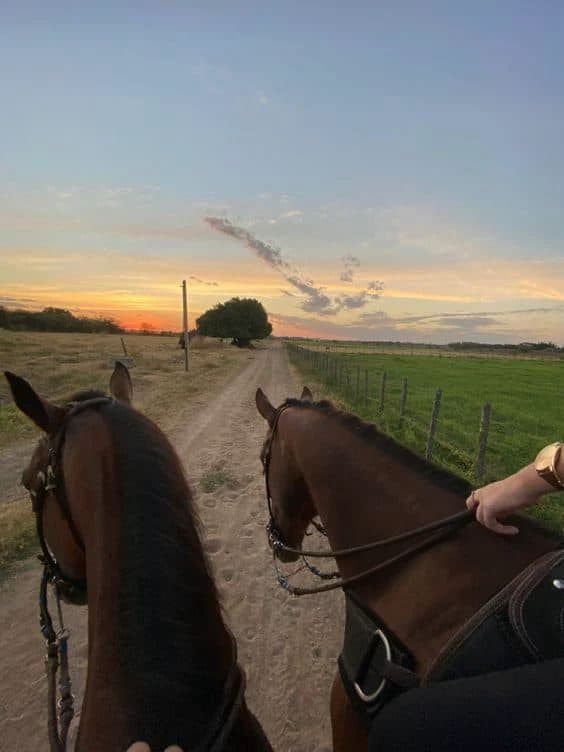 Passeggiata a cavallo al tramonto